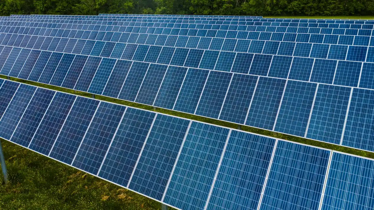 Reihen blauer Solarmodule auf einer Wiese in einem Solarpark