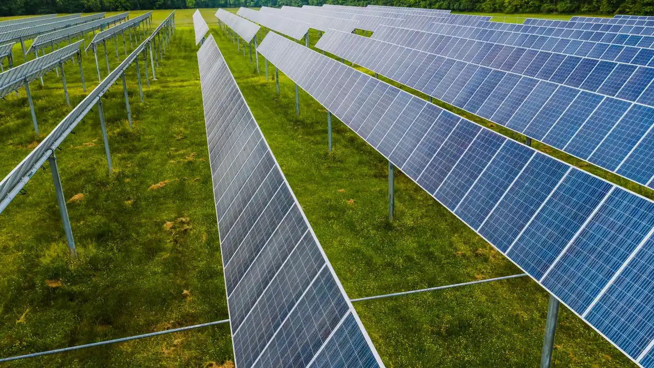 Schräg aufgeständerte Solarmodule in Reihen auf grüner Wiese