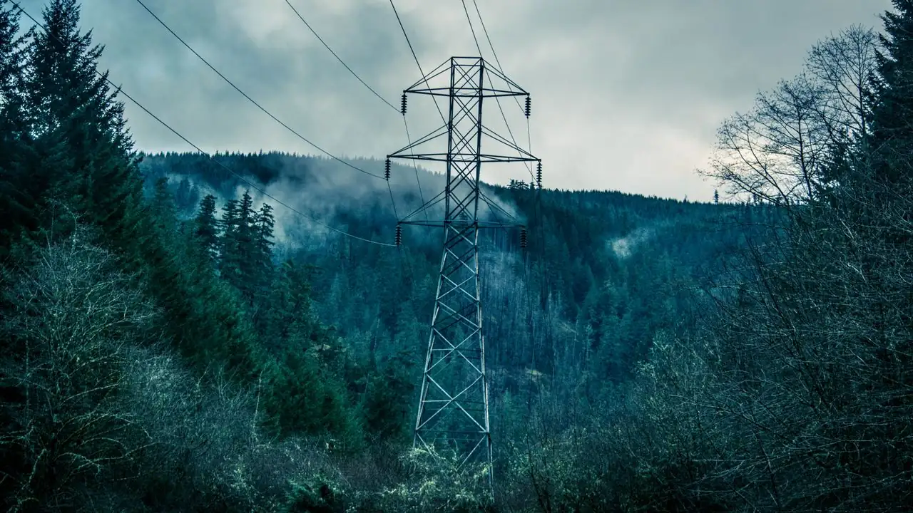 Strommast und Leitungen an einem bewaldeten Hang mit Nebel